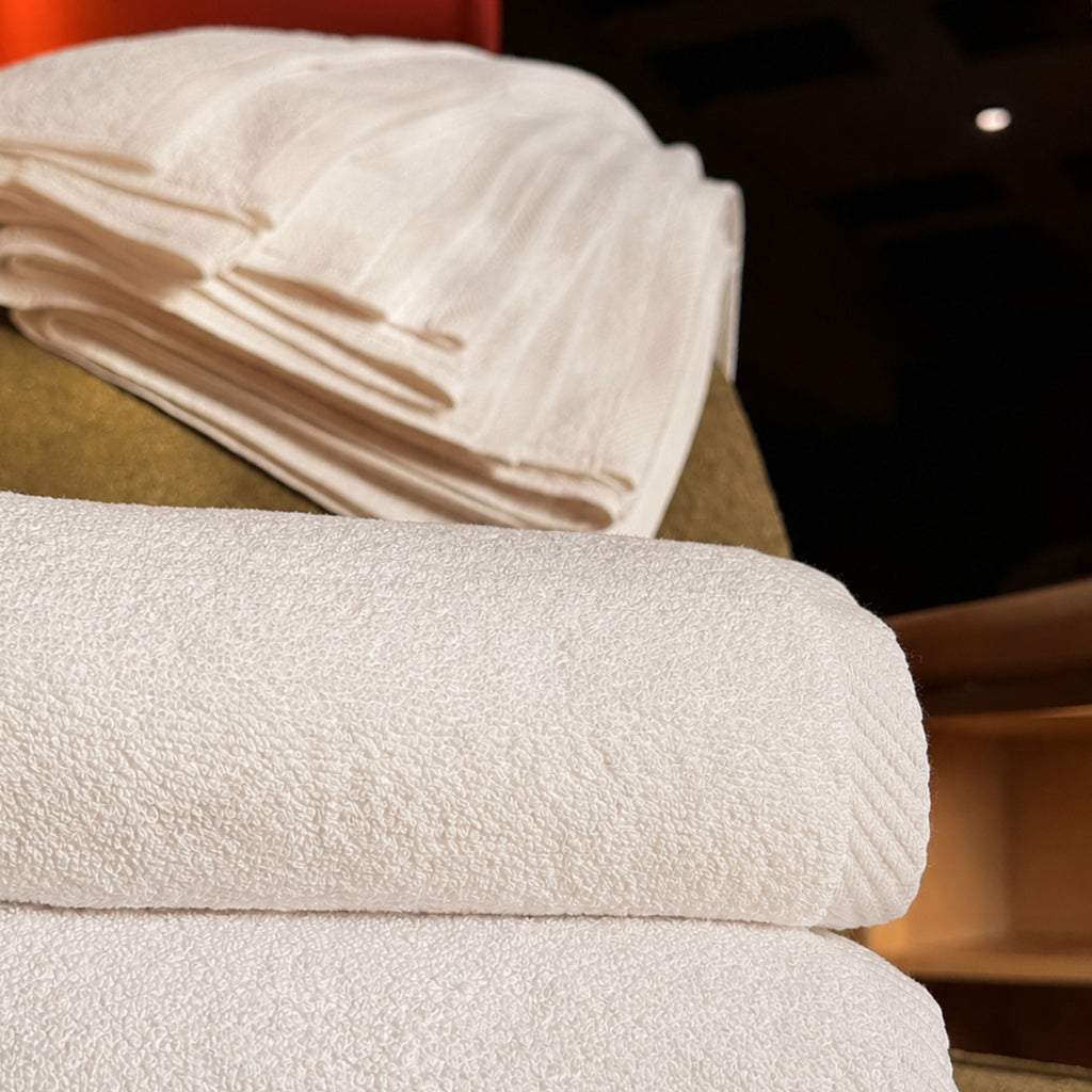 Ultra Plush Hand Towel (Set of 2)